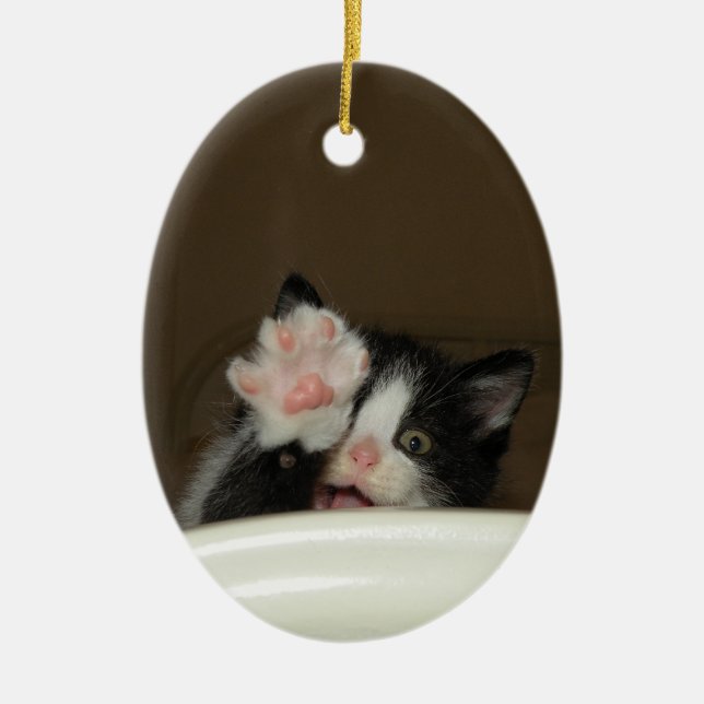 "Hi Kitten" Ornament (Front)