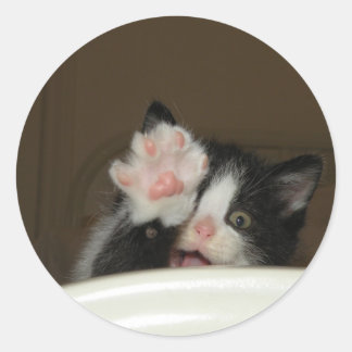 "Hi" Kitten stickers