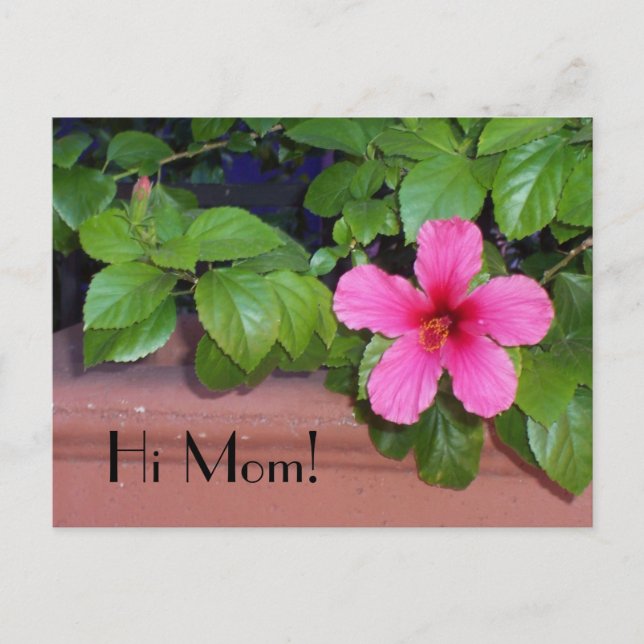 Hi Mom! Flower Postcard (Front)