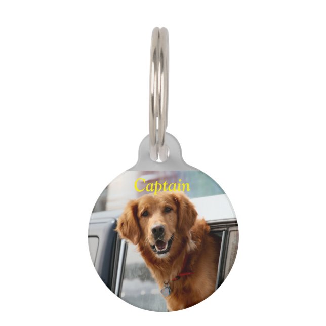 Hi  pet ID tag (Front)