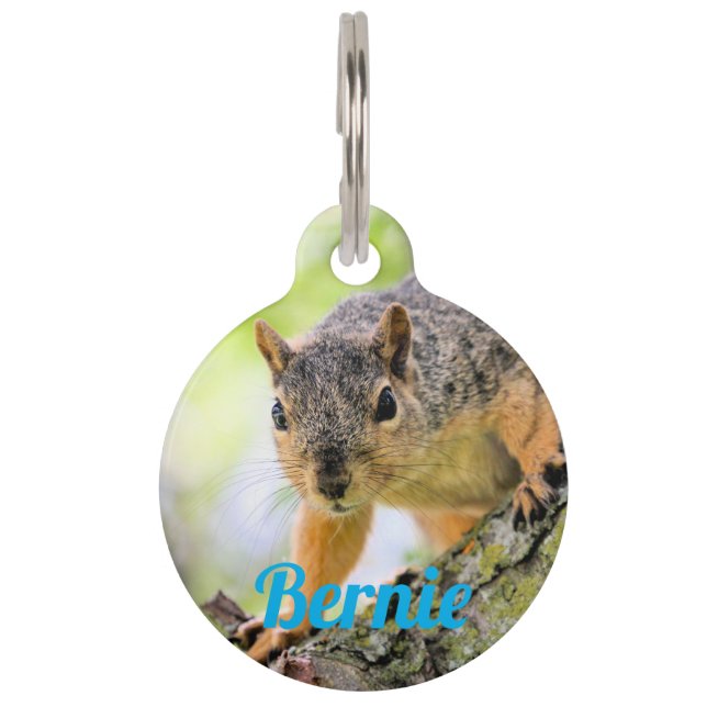Hi Pet ID Tag (Front)