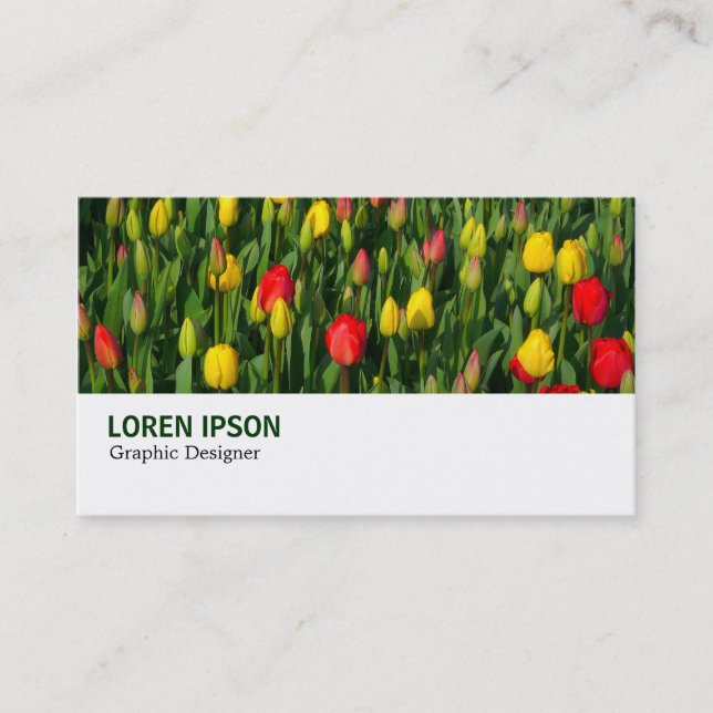 Hi-Phi - 003 - Tulips Business Card (Front)