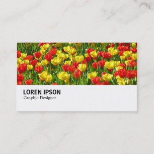 Hi-Phi - 0190 - Sea of Tulips III Business Card