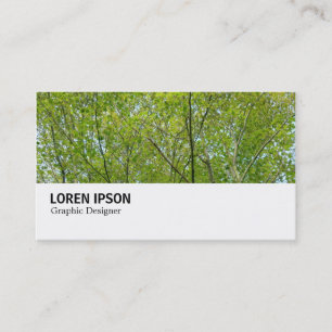 Hi-Phi - 0248 - Japanese Maple Business Card
