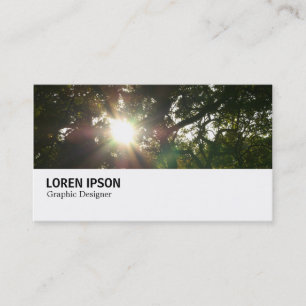 Hi-Phi - 0270 - Japanese Branches 07 Business Card