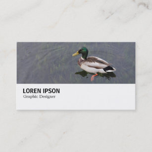 Hi-Phi - 0282 - Mallard Duck Business Card