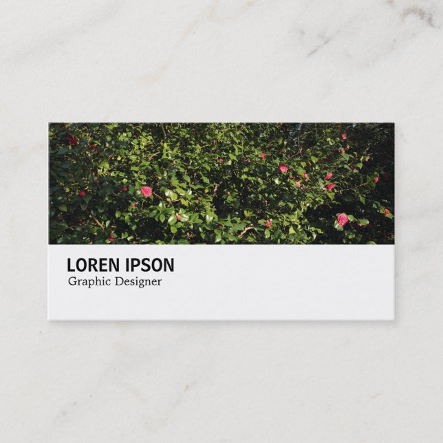 Hi-Phi - 0286 - Camellia Bush Business Card (Front)