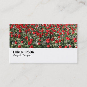 Hi-Phi - 0292 - Red Tulips and Primroses Business Card