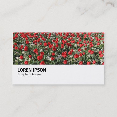 Hi_Phi _ 0292 _ Red Tulips and Primroses Business Card