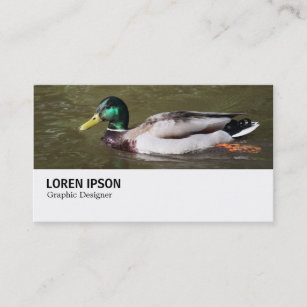 Hi-Phi - 0294 - Mallard Duck Business Card