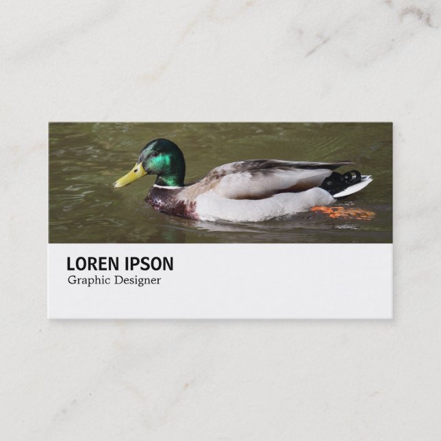 Hi-Phi - 0294 - Mallard Duck Business Card (Front)