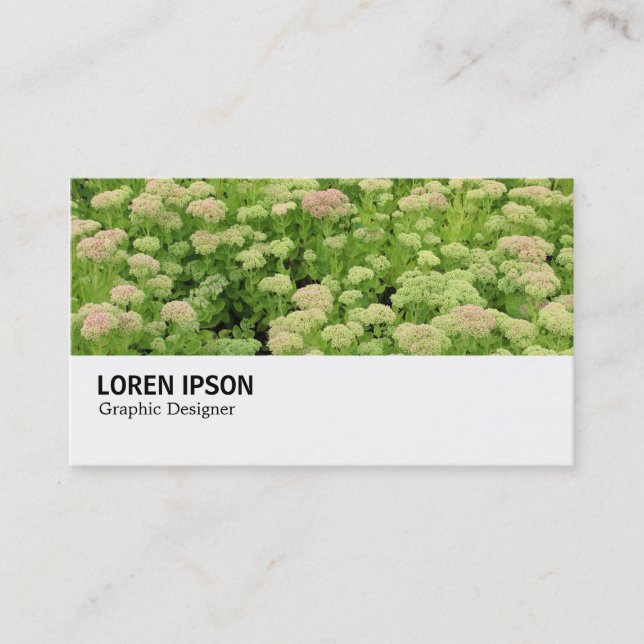 Hi-Phi - 0311 - Sedum (Autumn Joy) Business Card (Front)