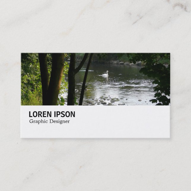 Hi-Phi - 032 - Swan on the River Taff Business Card (Front)