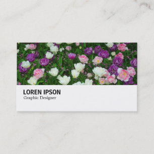 Hi-Phi - 086 - Colorful Tulips Business Card