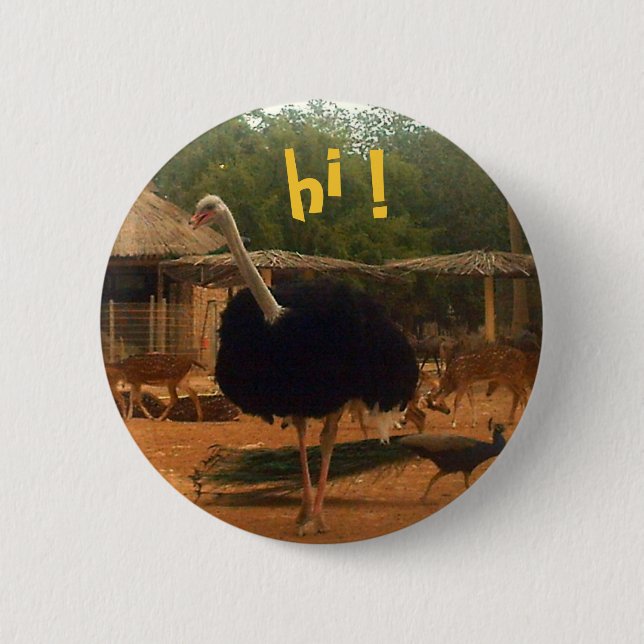 hi ! pinback button (Front)