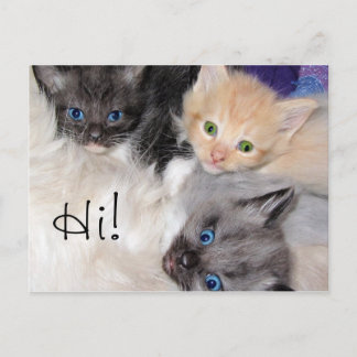 Hi! Postcard