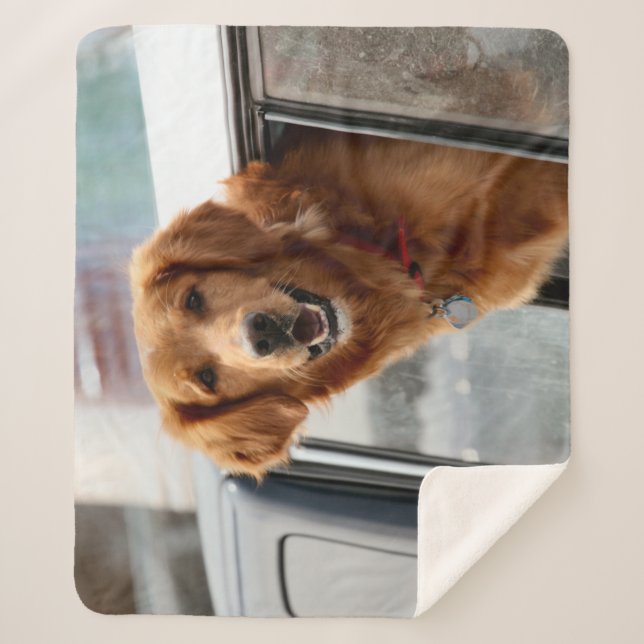 Hi  sherpa blanket (Front)