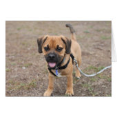 Hi There (Front Horizontal)