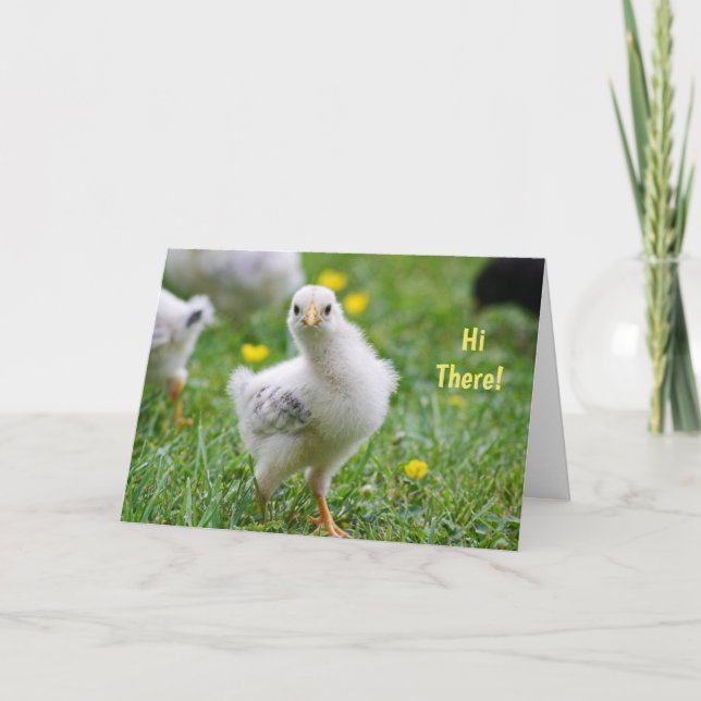 Hi There Baby Chick Happy Easter Holiday Card (Front)