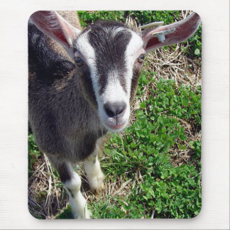 Hi There Goat Mouse Pad