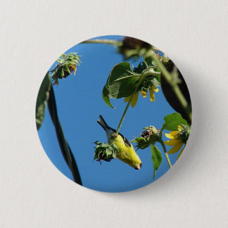 Hi there. Goldfinch Button