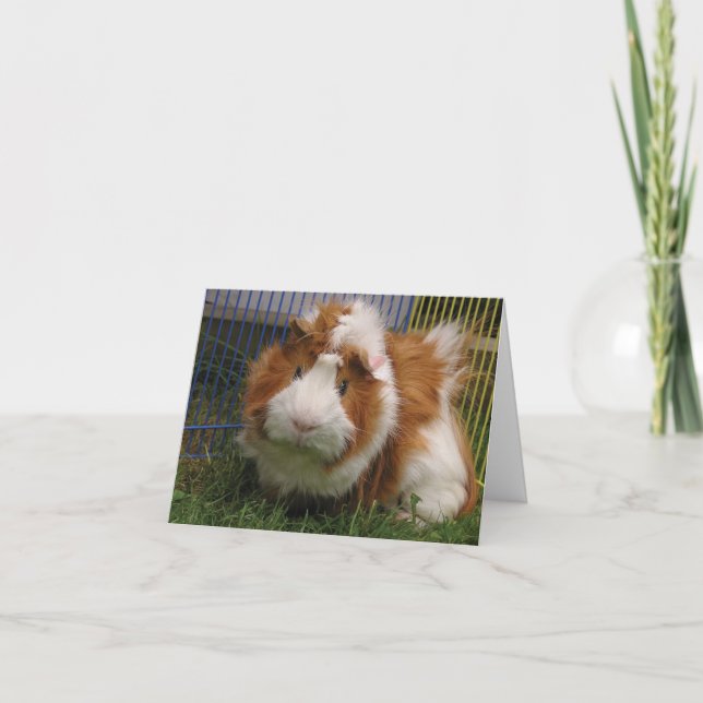 Hi there! (Jester) Card (Front)