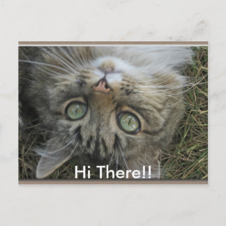 Hi There! Postcard