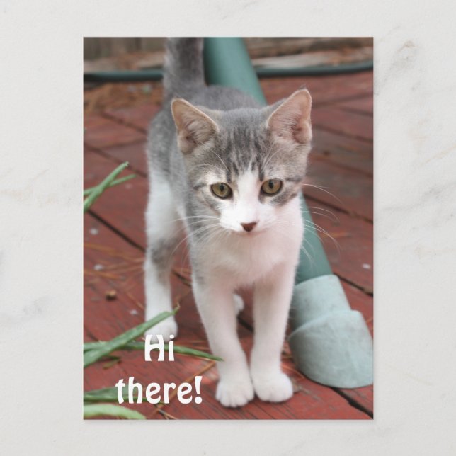 Hi there! postcard (Front)