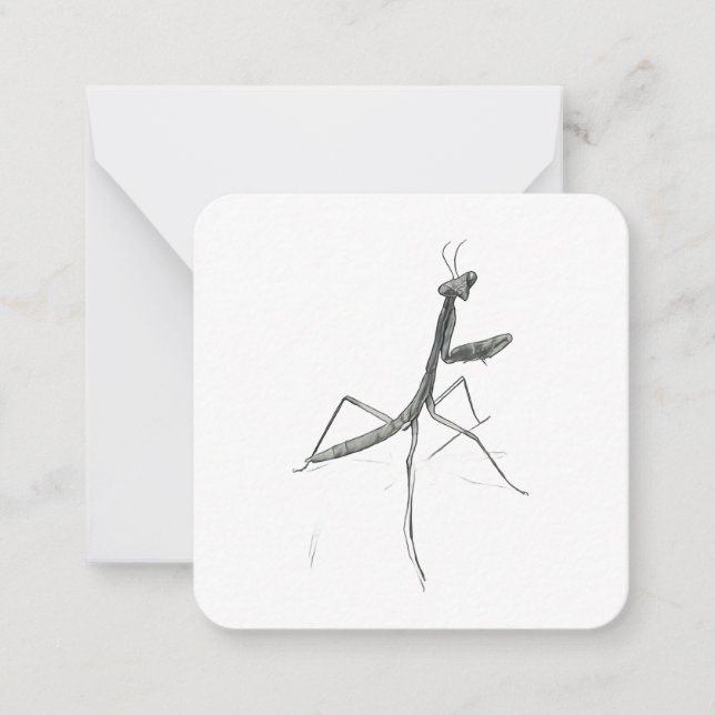 Hi there! Praying Mantis Note Card (Front)