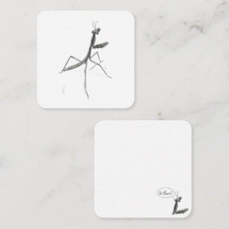 Hi there! Praying Mantis Note Card