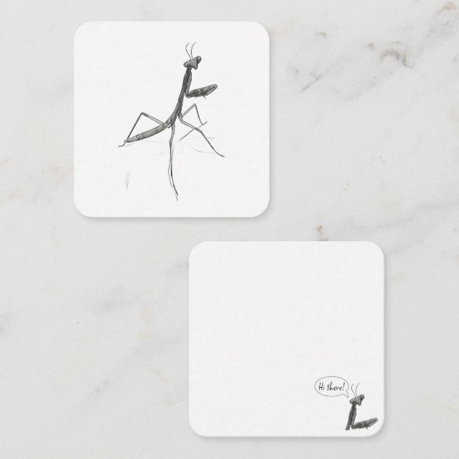 Hi there! Praying Mantis Note Card (Front/Back)
