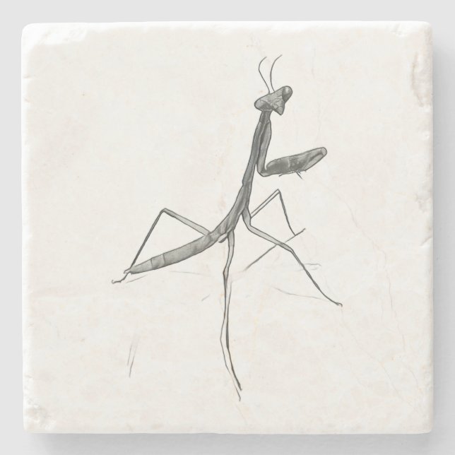 Hi there! Praying Mantis Stone Coaster (Front)