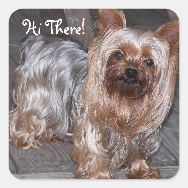 Hi There Yorkshire Terrier Square Sticker (Front)