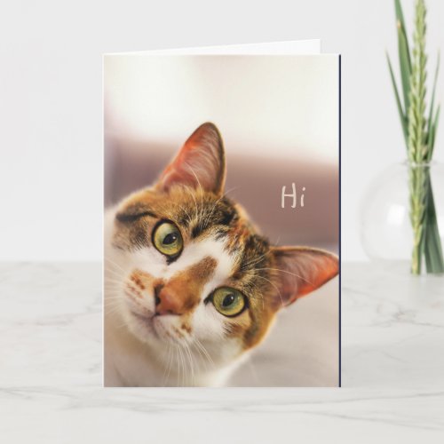 Hi Thinking of You Cute Cat Kitten Animal  Card