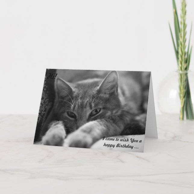 Hi! This cat is coming to wish a Happy Birthday! Card (Front)