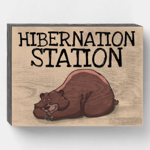 HIBERNATION STATION GRIZZLY BEAR CUTE WOOD SIGNS