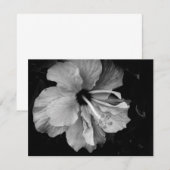 Hibiscus (Front/Back)
