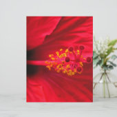 Hibiscus (Standing Front)