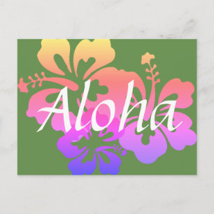 Hibiscus Aloha Postcard