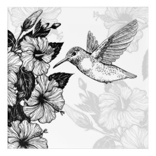 Hibiscus and hummingbird acrylic print