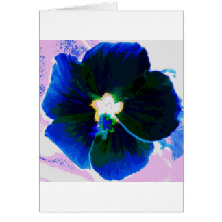 Hibiscus Azul Cards