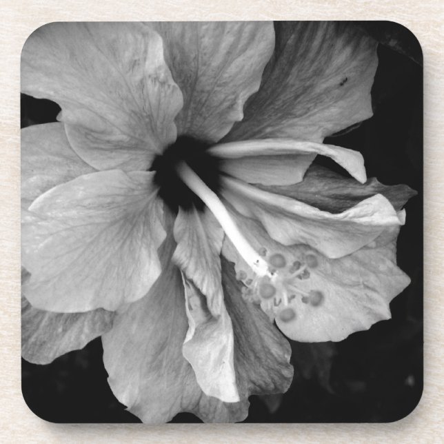 Hibiscus Beverage Coaster (Front)