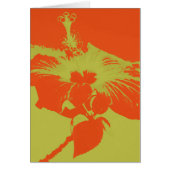 Hibiscus Bloom #8 (Front)