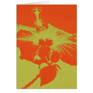Hibiscus Bloom #8 Cards