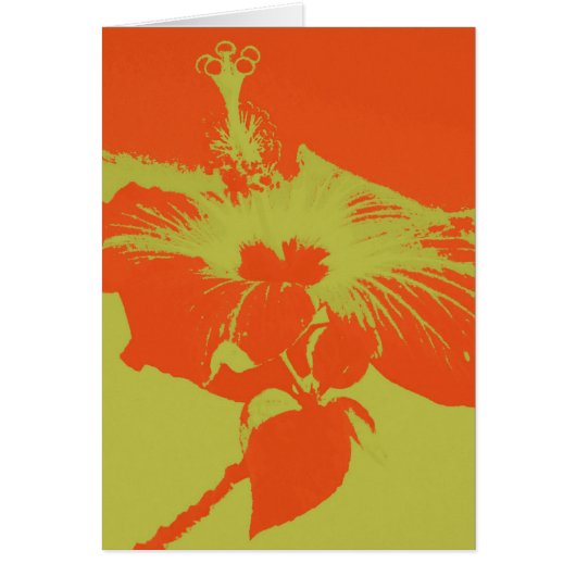 Hibiscus Bloom #8 Cards (Front)
