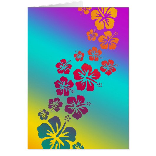 hibiscus blooms | coloured background cards (Front)