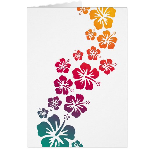 hibiscus blooms coloured cards (Front)