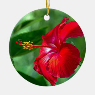 Hibiscus Blossom Ceramic Ornament