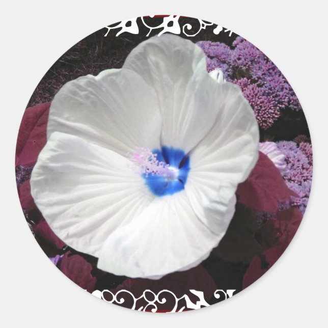 Hibiscus Blue -  White Lace Wedding Sticker (Front)