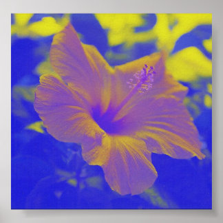 Hibiscus - blue-yellow - print